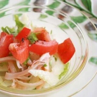 ぞっこんイカ・トマト・セロリのイタリアンサラダ